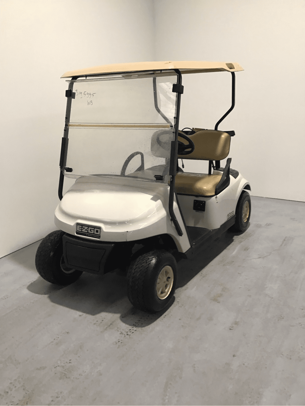 Picture of Trade - 2016 - Electric - EZGO - TXT - 2 seater - White