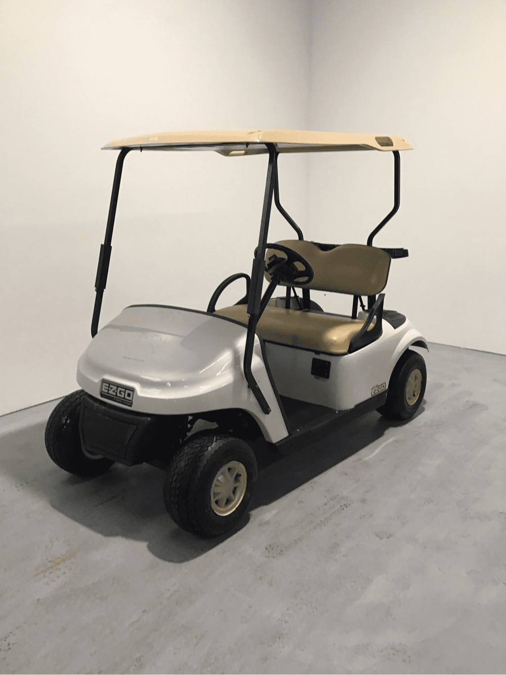 Picture of Trade - 2016 - Electric - EZGO - TXT - 2 seater - White